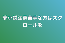 夢小説注意苦手な方はスクロールを