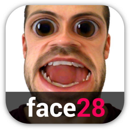 Face Changer Video