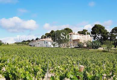 Vignoble 1