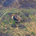 Blue-Pincher Crab