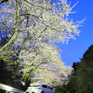 カローラスポーツ NRE210H