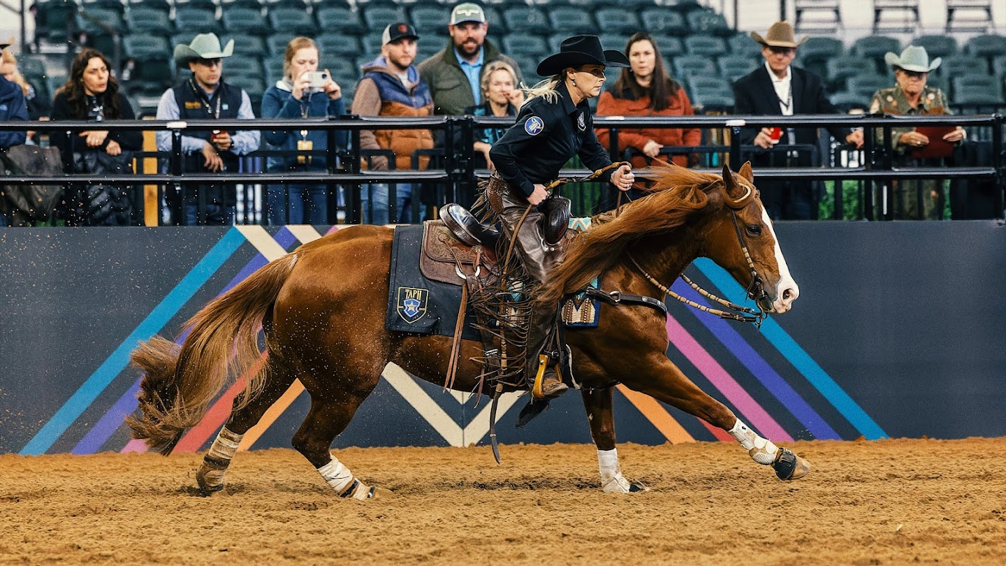 Watch The American Performance Horseman live