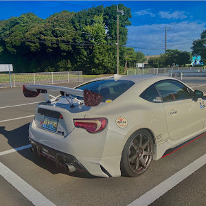 86 ZN6