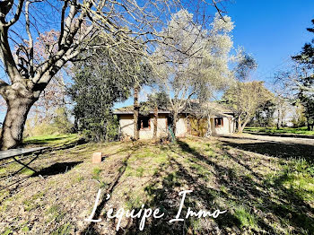 ferme à L'Isle-Jourdain (32)