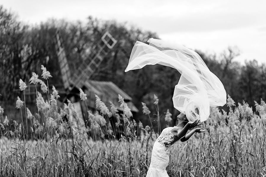 Photographe de mariage Paul Budusan (paulbudusan). Photo du 14 novembre 2018