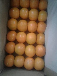 Shankar fruit company photo 2