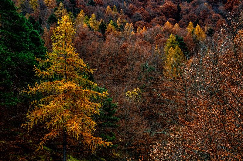 luce d'autunno di Zerosedici