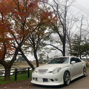 ヴェロッサ JZX110