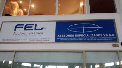 Asesores Especializados VB S.C.