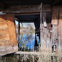 anatre in baracca di 