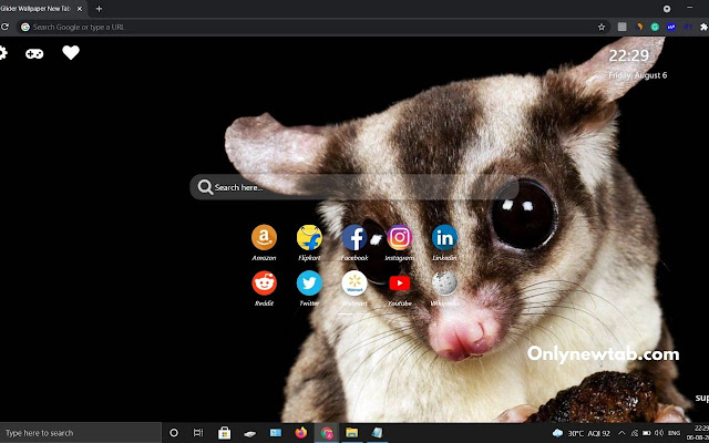 Sugar Glider Wallpaper New Tab Theme