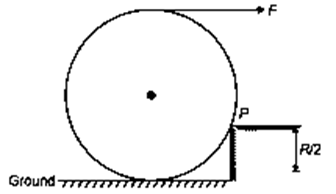 Rotational Dynamics