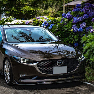 MAZDA3 BP8P