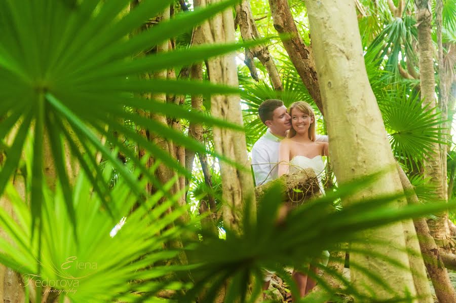 Fotógrafo de casamento Elena Fedorova (neilina). Foto de 29 de janeiro 2016