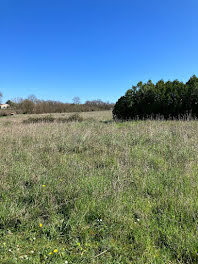 terrain à Pont-l'abbe-d'arnoult (17)