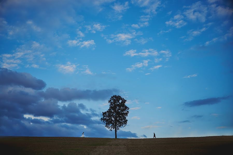 Hochzeitsfotograf Kamila Mądrzyńska (kmadrzynska). Foto vom 12. September 2015