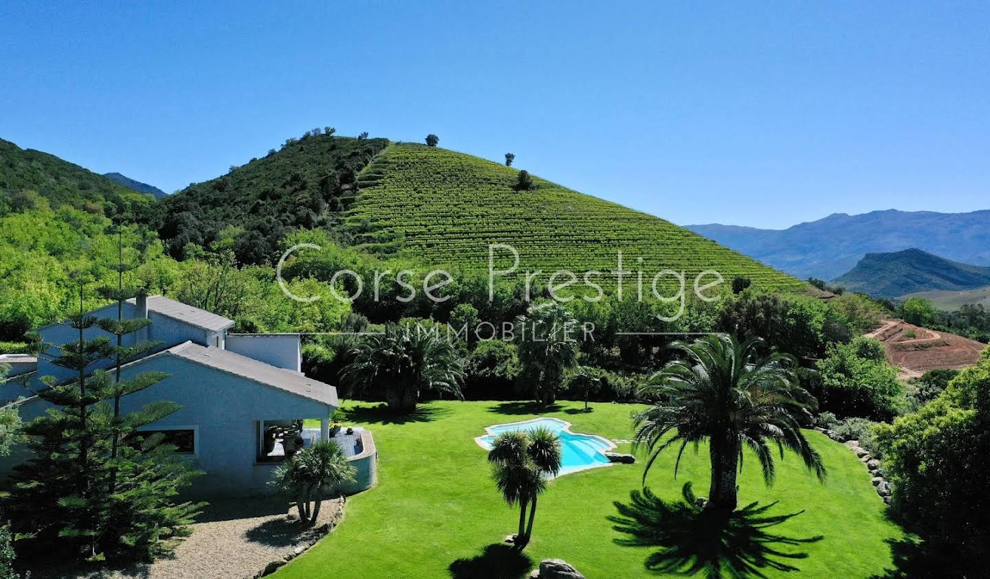 House with pool and terrace Saint-Florent