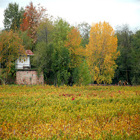 I colori dell autunno di 