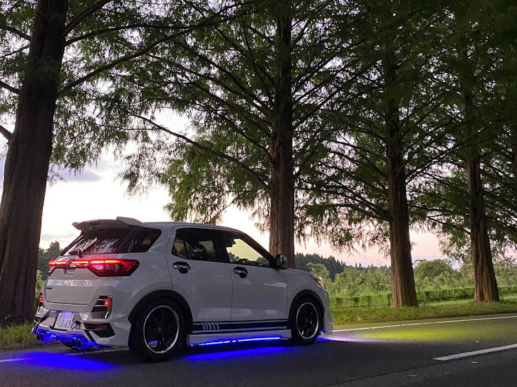 ライズのEKOG Club・R's・低いようで低くない少し低い車・メタセコイア並木に関するカスタム事例の投稿画像1枚目