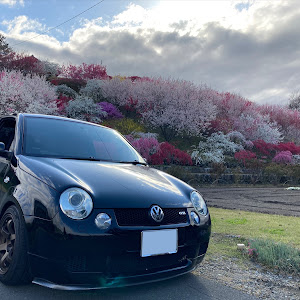 ルポ GTI