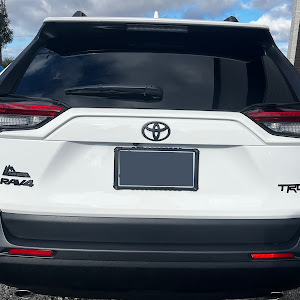 RAV4 MXAA54