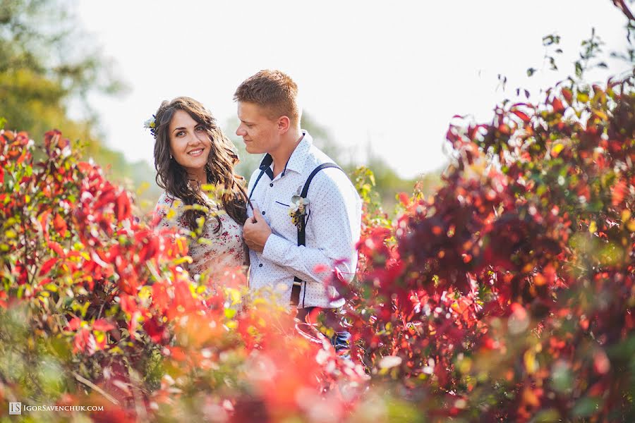 Wedding photographer Igor Savenchuk (igorsavenchuk). Photo of 3 October 2016