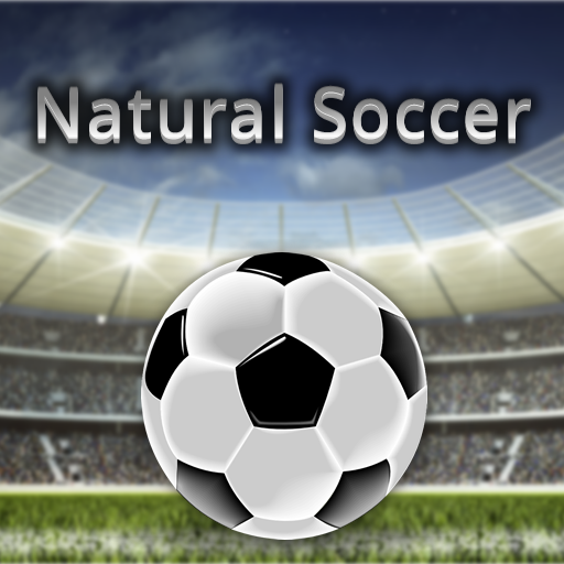 Natural Soccer (Jeu d'arcade) icon