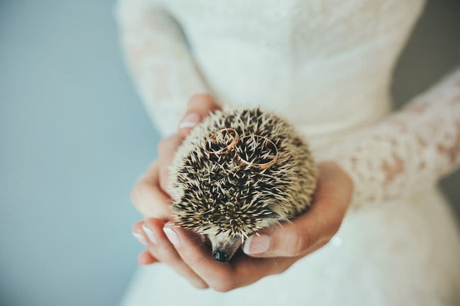 Fotógrafo de bodas Evgeniy Karimov (p4photo). Foto del 6 de septiembre 2016