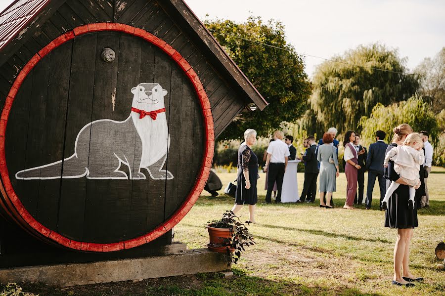 Fotógrafo de casamento Gábor Badics (badics). Foto de 2 de novembro 2023