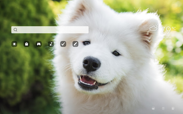 My Samoyed - Cute Dog & Puppy HD Wallpapers