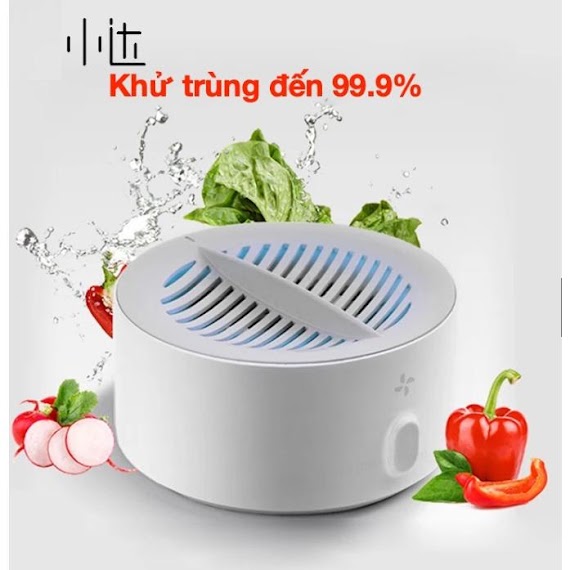 Máy Rửa Khử Trùng Rau Củ Quả Hd - Zngsqxj01