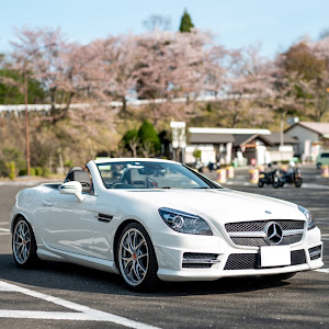 SLK R172