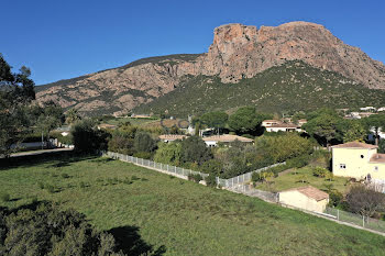 terrain à batir à Afa (2A)