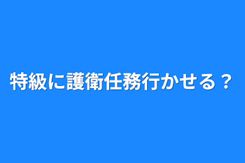 特級に護衛任務行かせる？