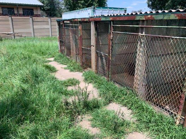 The rusty old kennels in Bloemfontein where the five dogs were kept.