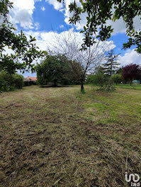 terrain à Loudun (86)