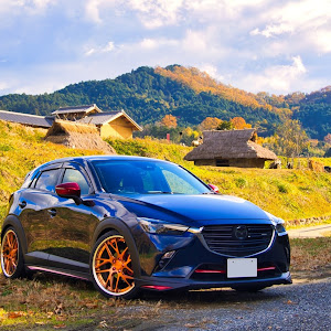 CX-3 DKEFW