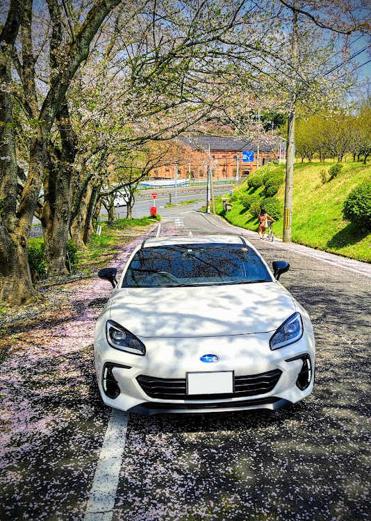BRZの平日お休み倶楽部(仮)・花の命は🌸(T_T)…　短くて〜😢🌀💦💦・芝桜はwww　サクラなのか(⁠?⁠・⁠・⁠)⁠σ🌸❓️🤭💫💦・🎶　ヒュルリラ〜🌸🍃！？🤣💫💫・あの　イカ丼🦑！？とはw　違います（笑）😋🤣💫💦に関するカスタム事例の投稿画像2枚目