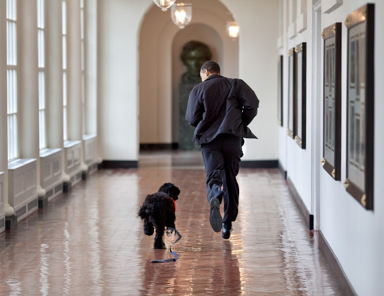 Former US president Barrack Obama running with Bo in the White House./BARRACK OBAMA