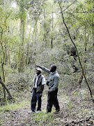 SPOTTED: Guides David Letsoalo and Paul Nkhumane track bird flight paths in the forest Pictures: JOHN-CLIVE