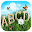 اول حرف من اسمك يدل علي شخصيتك Download on Windows