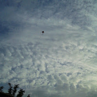 kite flying di 