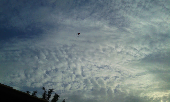 kite flying di sebinella bianca