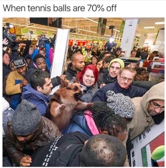 black friday meme