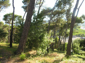 appartement à Cannes (06)