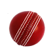 Cricket Simulator