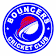 Bouncers Cricket Club icon