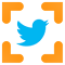 Item logo image for Twitter Image Fix