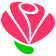 Bouquets icon