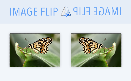 Image Flip